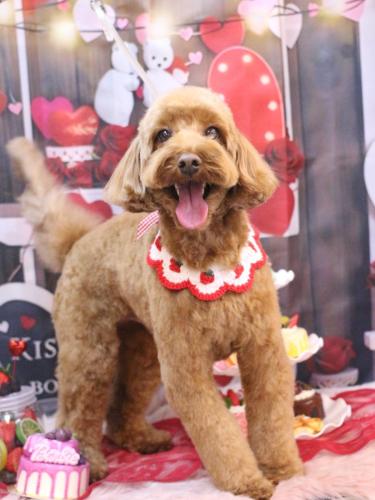 20250202テディくん